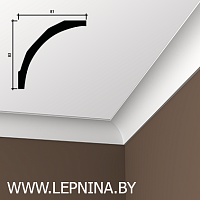 КАРНИЗ 6.50.165