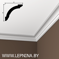 КАРНИЗ 6.50.101