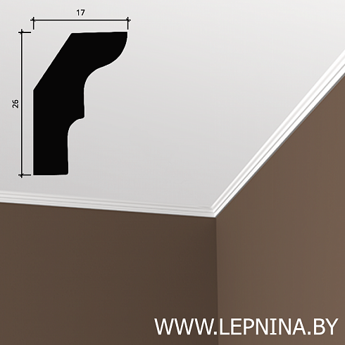 КАРНИЗ 6.50.155