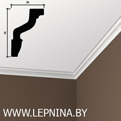 КАРНИЗ 6.50.171