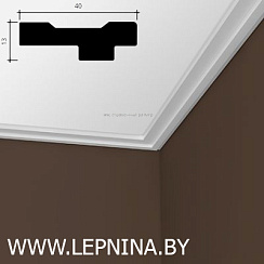 КАРНИЗ 6.50.298