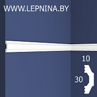 Молдинг 6.51.424