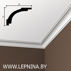 КАРНИЗ 6.50.160