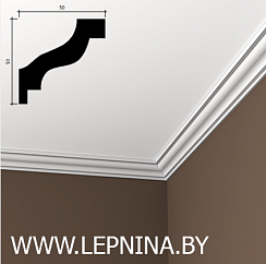 КАРНИЗ 6.50.103