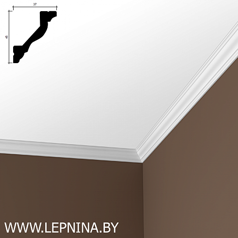 КАРНИЗ 6.50.299